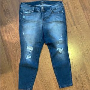 Torrid Premium Distressed jeans